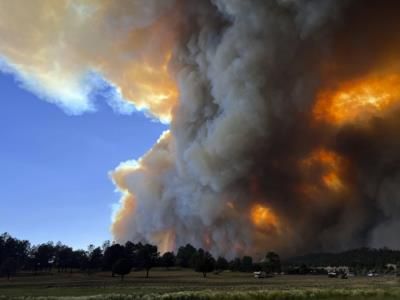 Tennis Legend Pam Shriver's Trophies Stolen During Wildfire Evacuation