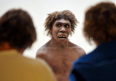 Homo Erectus, Not Sapiens, First Humans To Survive Desert: Study