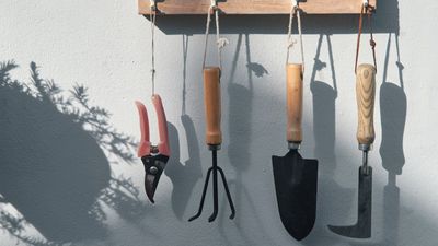 How to prepare garden tools for spring – garden experts reveal 6 key steps ahead of the busiest time of the year