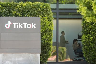 The rise - and potential fall - of TikTok in the US