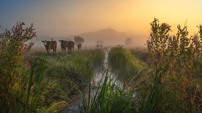 I got up at 6am to capture this landscape – and the misty conditions made it totally worth it
