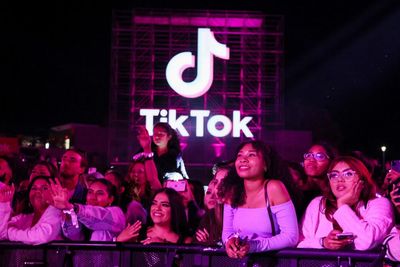 ‘A lot of chaos, quickly’: panic grips US music industry as ‘kingmaker’ TikTok faces ban