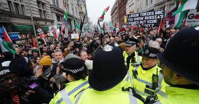 Stop the War demands chief steward released after Met Police 'arrest' at London rally