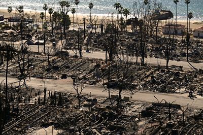 California's insurer of last resort has potential exposure to LA wildfires of nearly $5 billion and reinsurance of $5.78 billion