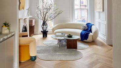 Rug Trends — 5 Styles You Should Be Buying for Cooler, More Imaginative Floor Coverings in 2025