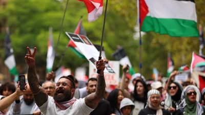 Pro-Palestinian rallies welcome long-awaited ceasefire