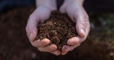 Hutton Institute launches citizen science project to map soil health across Scotland