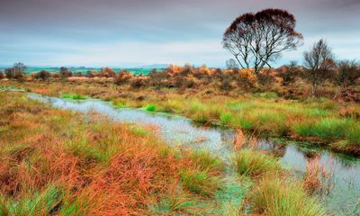 ‘We are resting on our laurels’: Scotland faces significant challenge to protect its environment