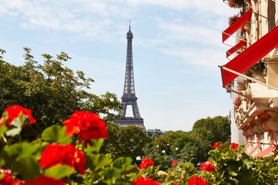 Plaza Athénée: is this opulent grand dame still Paris's best hotel?