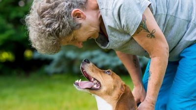 Trainer reveals why ‘you don’t need your dog’s respect’ for good behavior