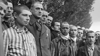 How Allied photos revealed true horrors of the Nazi death camps