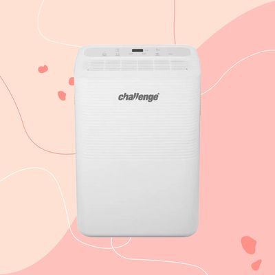 I tested the 12L Challenge dehumidifier in my damp Victorian home over winter — I haven’t spotted any signs of mould for the first time in five years