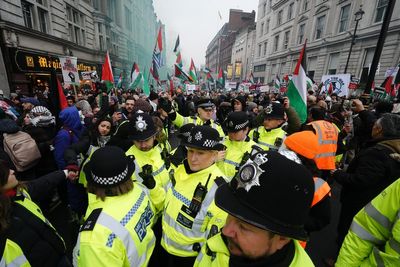 Nine people charged with public order offences after London pro-Palestine protest