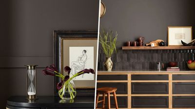 Sherwin-Williams' Sealskin is a trending dark brown paint – a sleek and chic shade for embracing the moody color trend