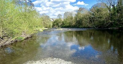 Bridge closed after man's body pulled from River Dee