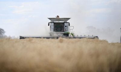 In suburban Ballarat, my family is harvesting canola, trading tips on tractors – and gaining sympathy for farmers