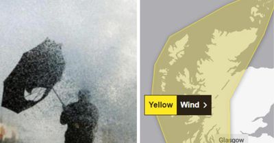 Met Office issues yellow wind warning with 80mph gusts forecast