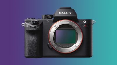 BCN Award 2025: Sony sells most mirrorless cameras, Canon most compacts and DSLRs, and Tamron most lenses