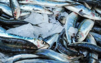 Best online fishmongers to deliver fresh seafood to your door