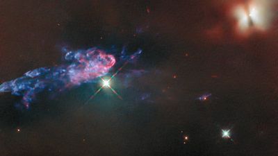 Hubble Telescope spies newborn stars in famous Orion Nebula (photo)