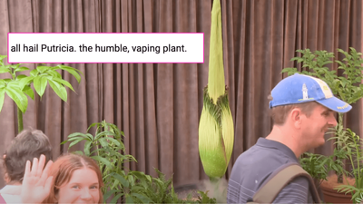 Sydney’s Corpse Flower Putricia Is About To Bloom & The Livestream Comments Are Bonkers