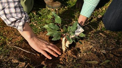 Cheap loans for farmers under green bank scheme