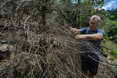 Brazil Drought Lights A Fire Under Global Coffee Prices