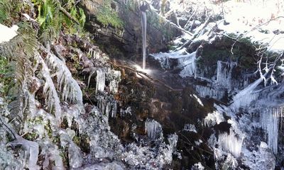 Country diary: Glittering beauty from a simple water pipe