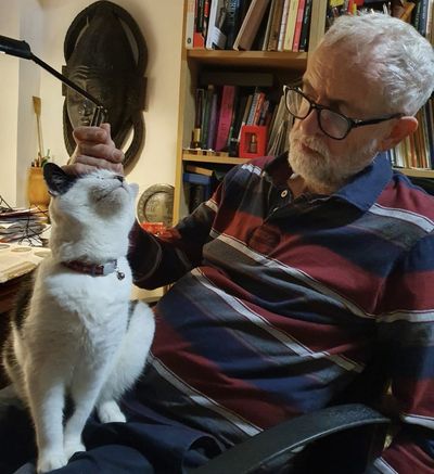 Jeremy Corbyn announces death of his beloved cat El Gato: 'Life will not be the same again'