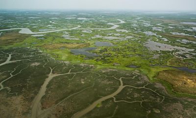 A third of the Arctic’s vast carbon sink now a source of emissions, study reveals