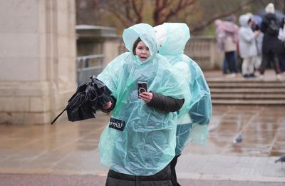 Storm Eowyn: Yellow weather warning for wind in London as 50mph-plus gusts to batter capital