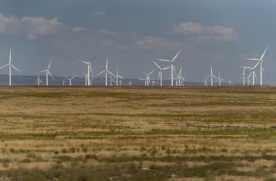 Trump Halts Offshore Wind Projects, Favors Fossil Fuels