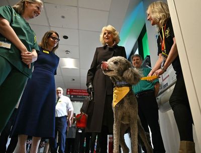 Queen meets therapy dog during hospital visit