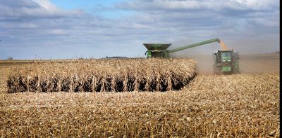 Agriculture secretary oversees food production, rural life, and nutrition programs that help millions afford healthy diets