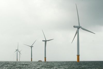 Rules to curb harmful underwater noise in offshore wind construction unveiled