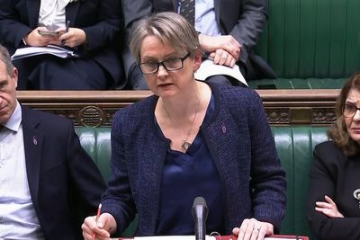 Inquiry should be free to seek answers without ‘ridiculous nonsense’ online – MP