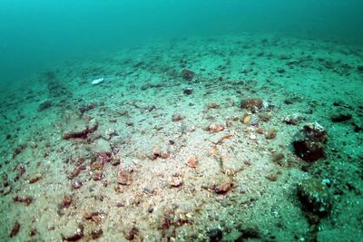 MP calls for ban on ‘bottom trawling’ of seabeds in marine protected areas