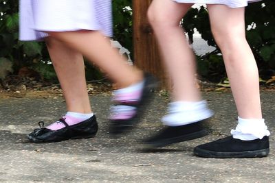 Government’s education reforms could be ‘significant backward step’ for pupils