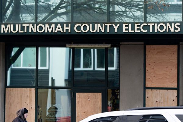 'Orchestrated attack' on Portland elections office shatters dozens of windows, police say