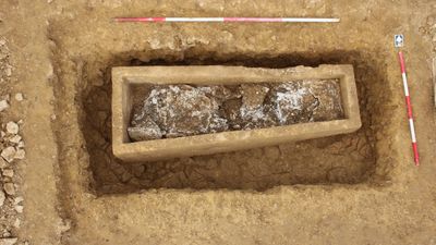 Archaeologists discover rare liquid gypsum burial of 'high-status individual' from Roman Britain