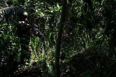 Colombian Forces Edge Into Guerrilla Strongholds