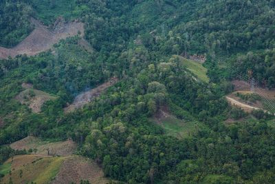 South Korea to shrink biomass energy subsidies after criticism over link to deforestation