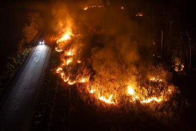 Brazil fires consumed wilderness area larger than Italy in 2024 – report