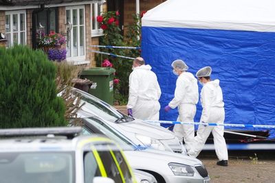 Man admits crossbow murders of ex-partner and sister and fatally stabbing mother