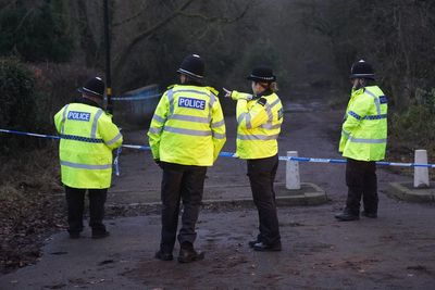 Boy, 12, fatally stabbed ‘as he walked home through country park’