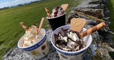 'Extremely disappointing': Criticism amid Scottish ice cream brand's Yorkshire move