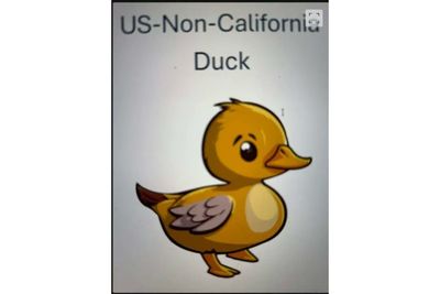 Bizarre Image of Cartoon Duck Mistakenly Attached to Mass Termination Email Baffles Fired Employees