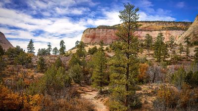 New resort next to Zion National Park sparks concern over potential impact on local wildlife