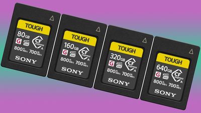 It seems that Sony Tough CFexpress Type A cards ain't so tough after all…