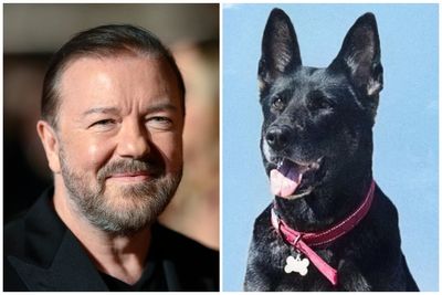 'Beautiful soul': Ricky Gervais pays tribute as dog who played Brandy in his Netflix series Afterlife dies